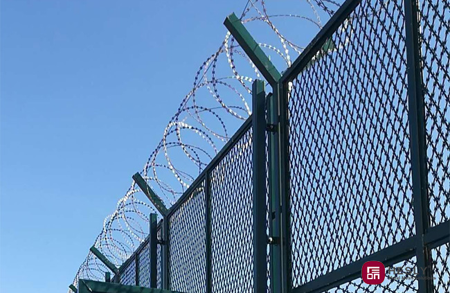 prisons fence