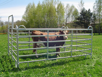 fence swing gates