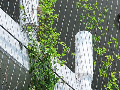 Green Wall Net For Plants_Wire Mesh Fence, Wind Break Fence