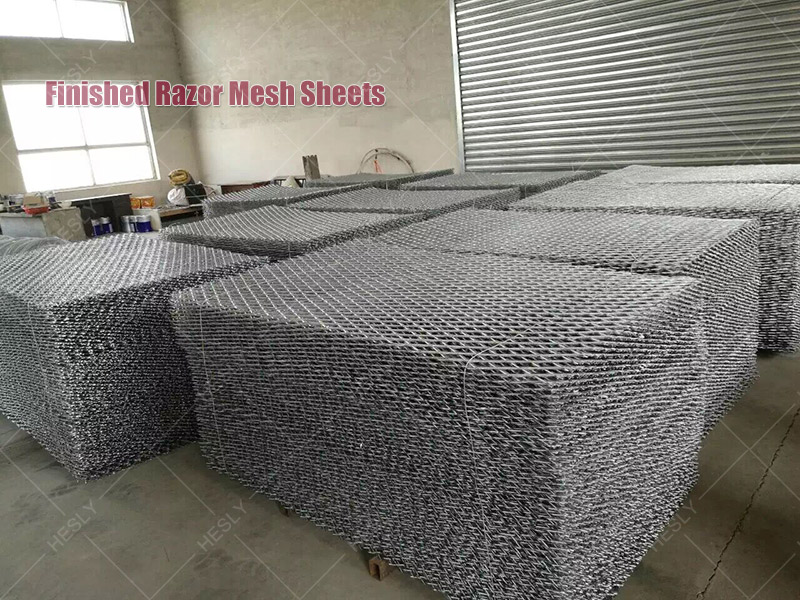 Welded razor mesh fencing China Factory