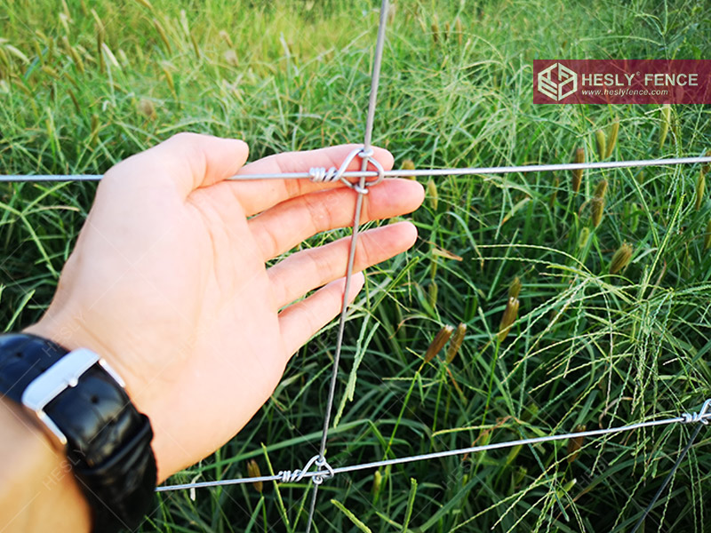 Fixed Knot Grassland Fence