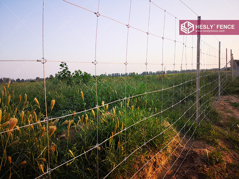 grassland fencing rolls