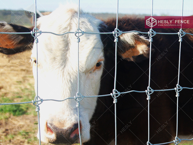 grassland fencing