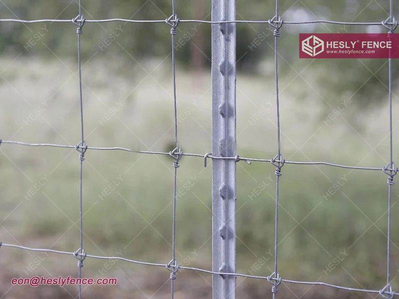 Grassland Fence