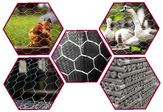 Chicken Wire Mesh