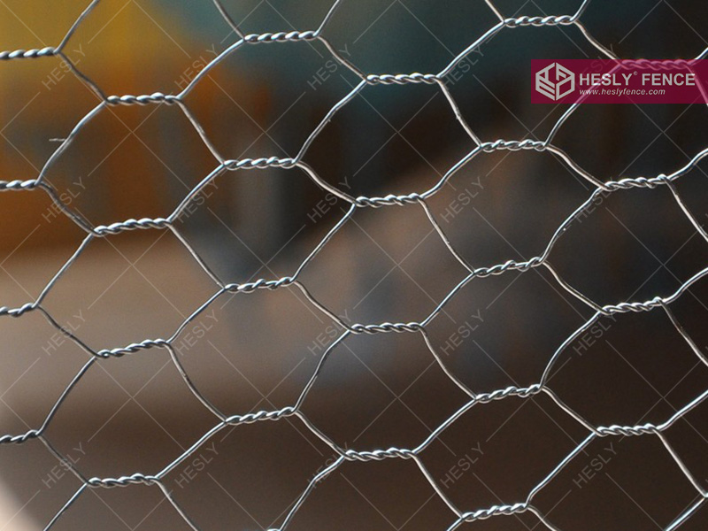 hexagonal wire netting