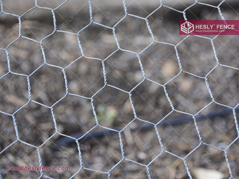 hexagonal wire mesh