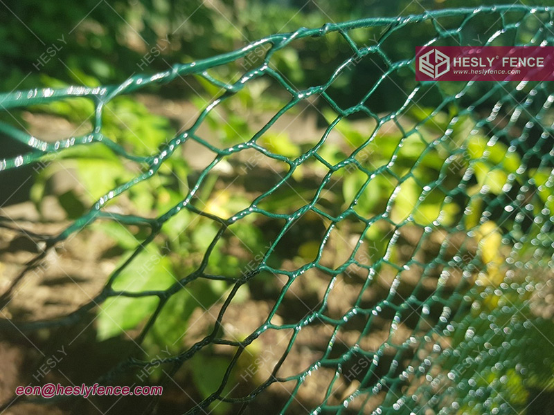 PVC Coated Chicken Wire China Supplier